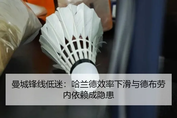 man-cheng-feng-xian-di-mi-ha-lan-de-xiao-lv-xia-hua-yu-de-bu-lao-nei-yi-lai-cheng-yin-huan-3-559.jpg