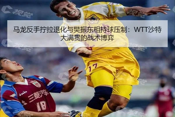 ma-long-fan-shou-ning-la-tui-hua-yu-fan-zhen-dong-xiang-chi-qiu-ya-zhi-sha-te-da-man-guan-de-zhan-shu-bo-yi-2-498.jpg